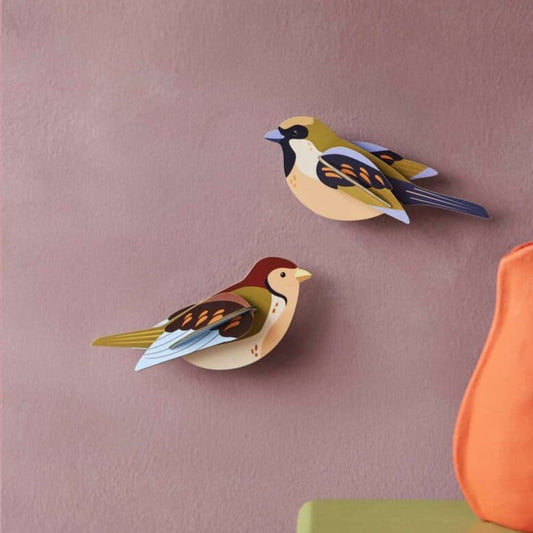 Maquette à construire - Oiseaux du jardin - Moineaux - Studio Roof