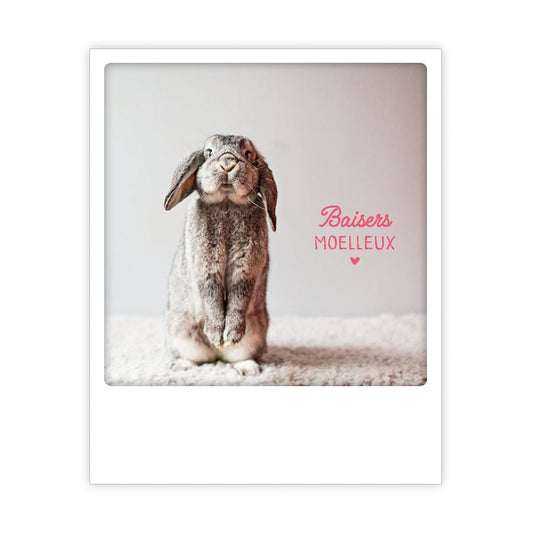 Carte postale - Baisers moelleux