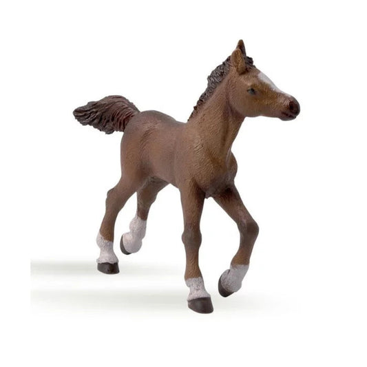 Figurine poulain anglo arabe - Papo