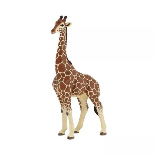 Figurine girafe mâle - Papo