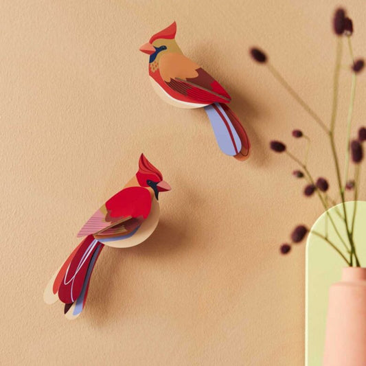 Maquette à construire - Oiseaux du jardin - Cardinaux - Studio Roof