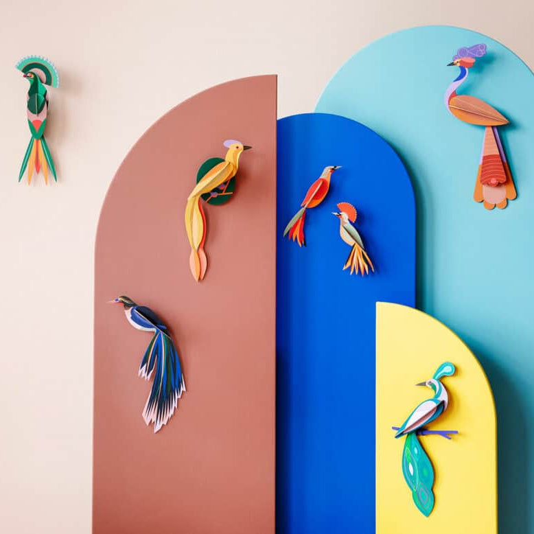 Studio Roof - Oiseau de paradis Olango - Décoration murale