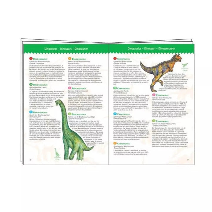 Puzzle d'observation Dinosaures et livret - 100 pièces - Djeco