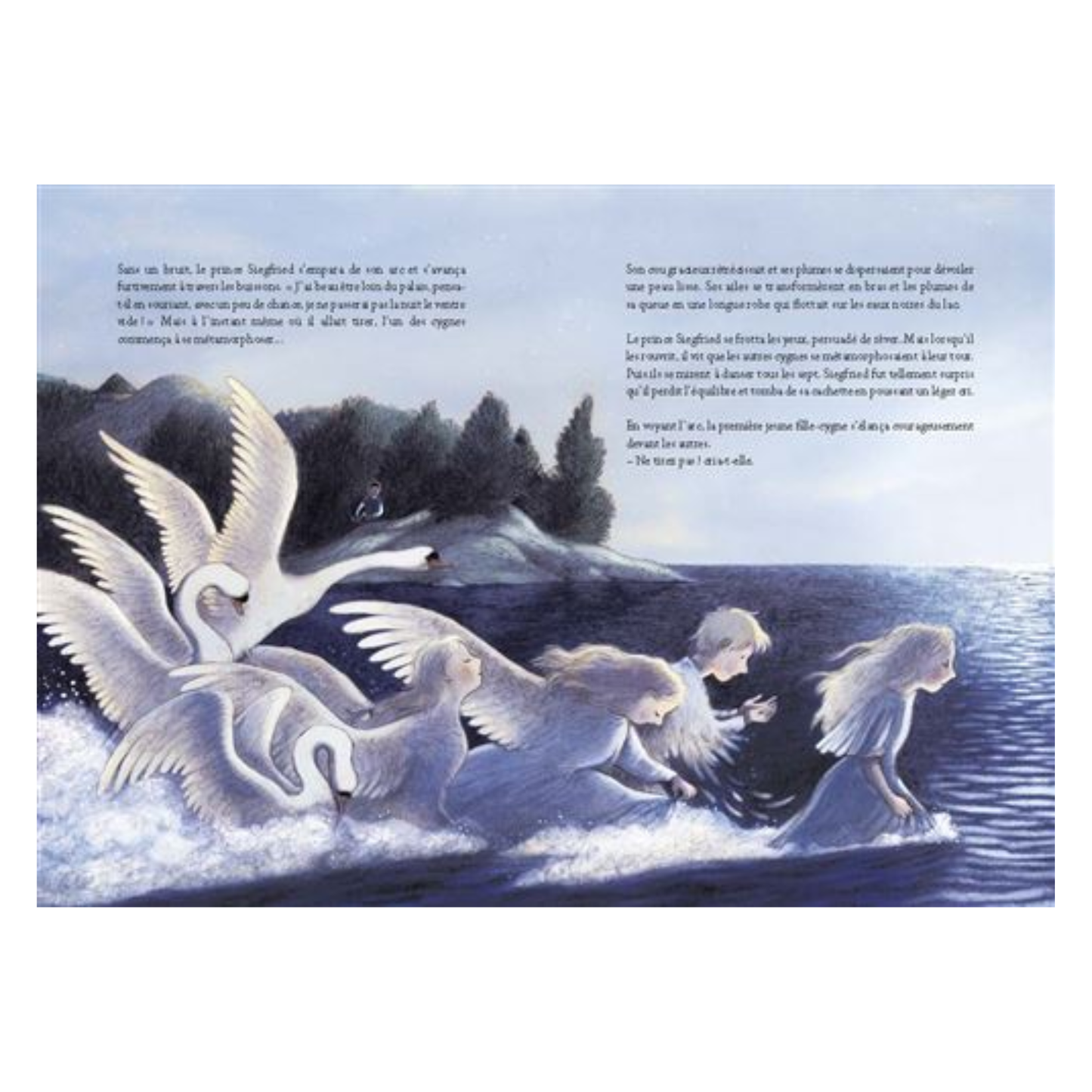 Le lac des cygnes : et 3 autres histoires de ballets