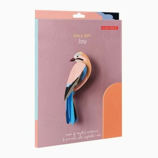 Maquette à construire - Oiseaux du jardin - Geai - Studio Roof