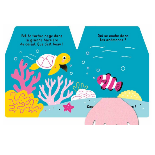 Cache-cache petite tortue des mers