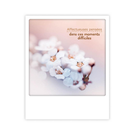 Carte postale - Affectueuses pensées