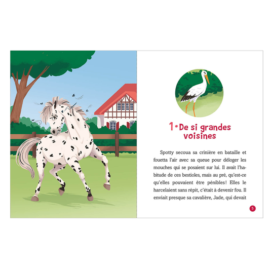 Jade et les chevaux - Frayeur au haras - Auzou