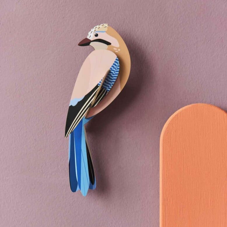 Maquette à construire - Oiseaux du jardin - Geai - Studio Roof