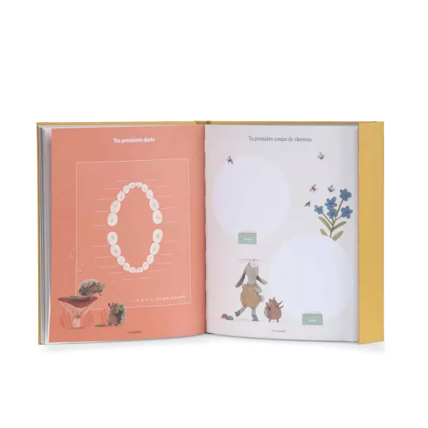 Livre de naissance Trois Petits Lapins - Moulin Roty