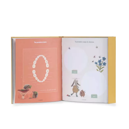 Livre de naissance Trois Petits Lapins - Moulin Roty
