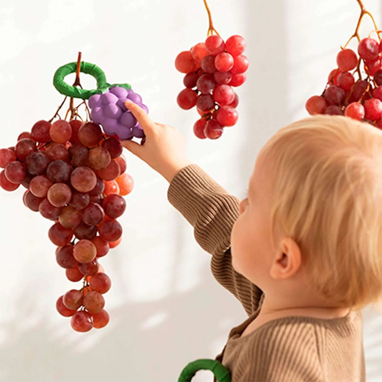 Hochet - Grappe de raisins