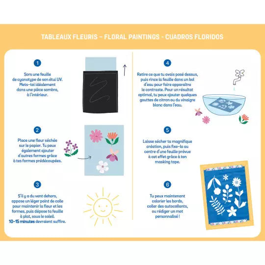 Tableaux fleuris : 8 cyanotypes - Coffret DIY - Auzou