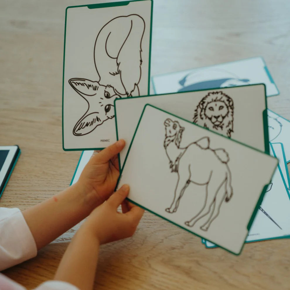 Kidywolf - Recharge de feuilles pour mini tablette - Animaux autour du monde et Océans & Pirates