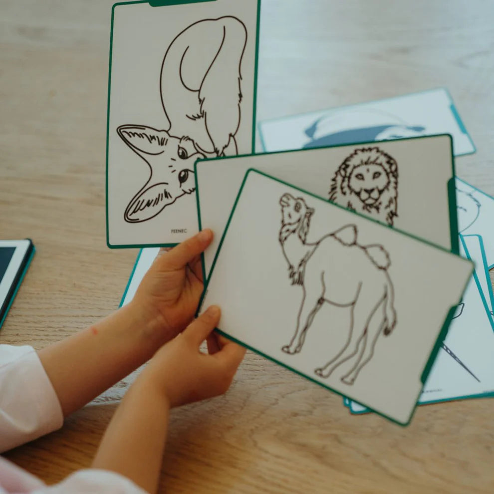 Kidywolf - Mini tablette à dessin - Animaux autour du monde