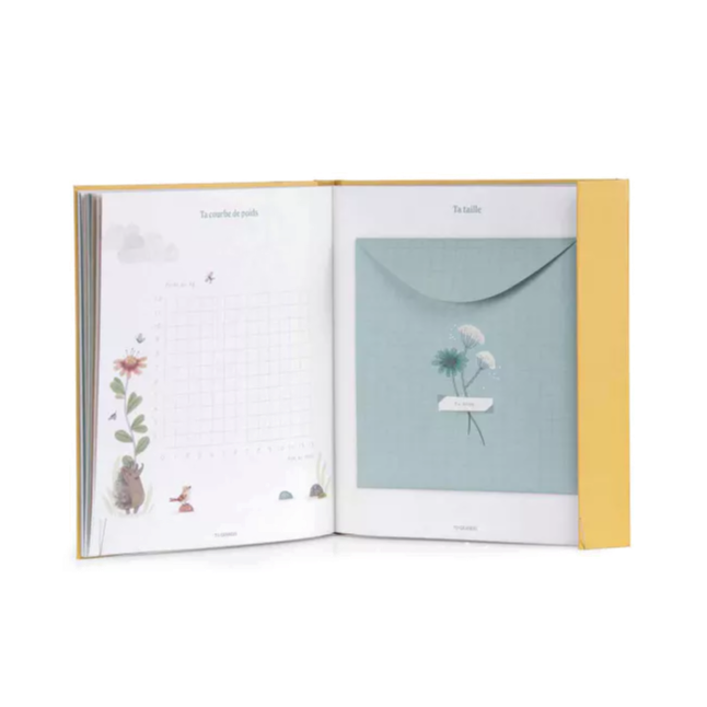 Livre de naissance Trois Petits Lapins - Moulin Roty
