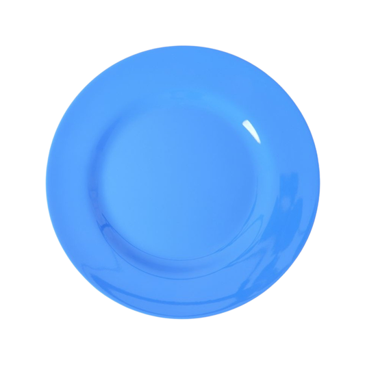 Petite assiette en mélamine bleu - Rice