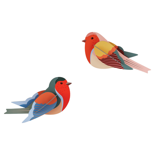 Maquette à construire - Oiseaux du jardin - Rouges-gorges - Studio Roof