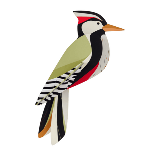 Maquette à construire - Oiseaux du jardin - Pic - Studio Roof