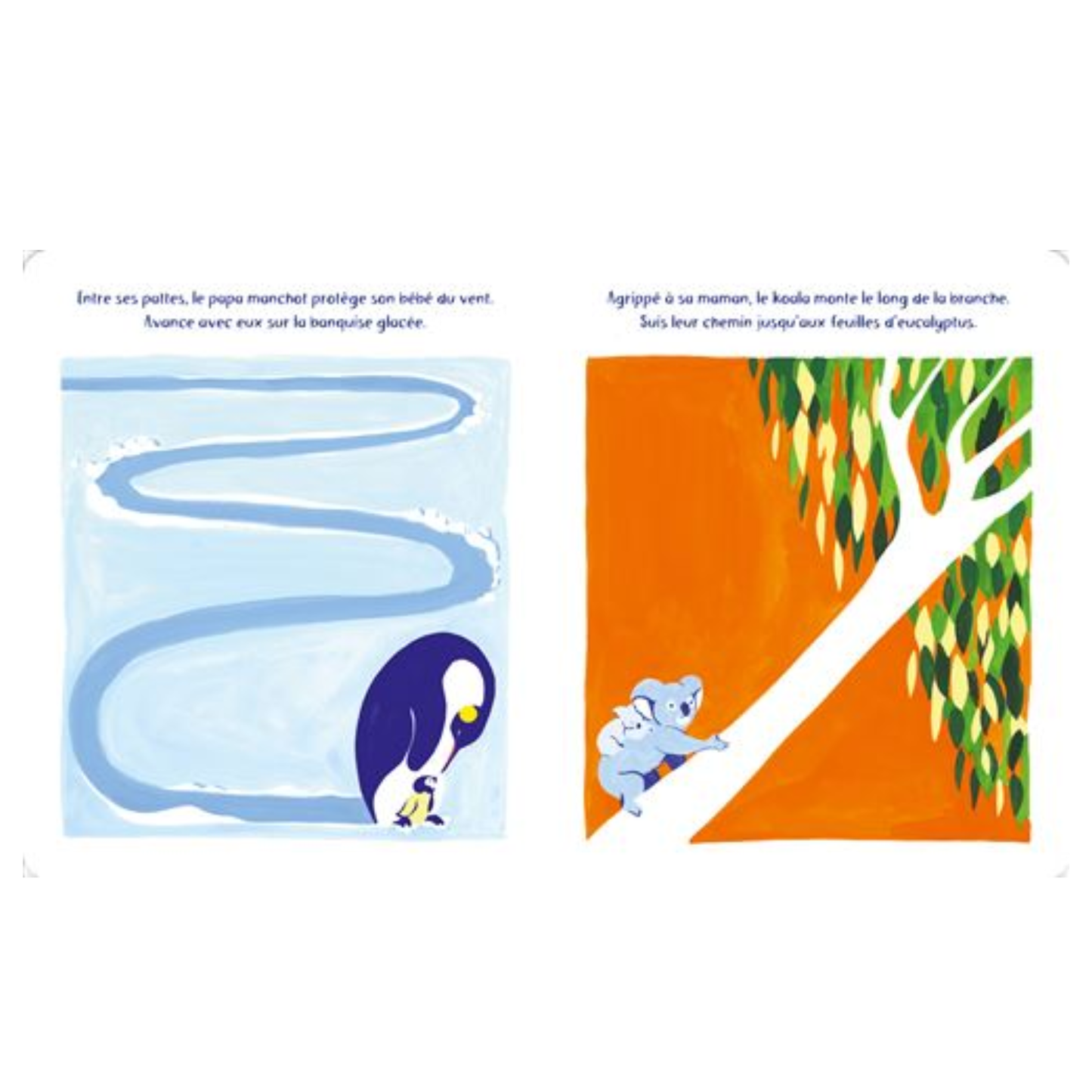 Les bébés animaux