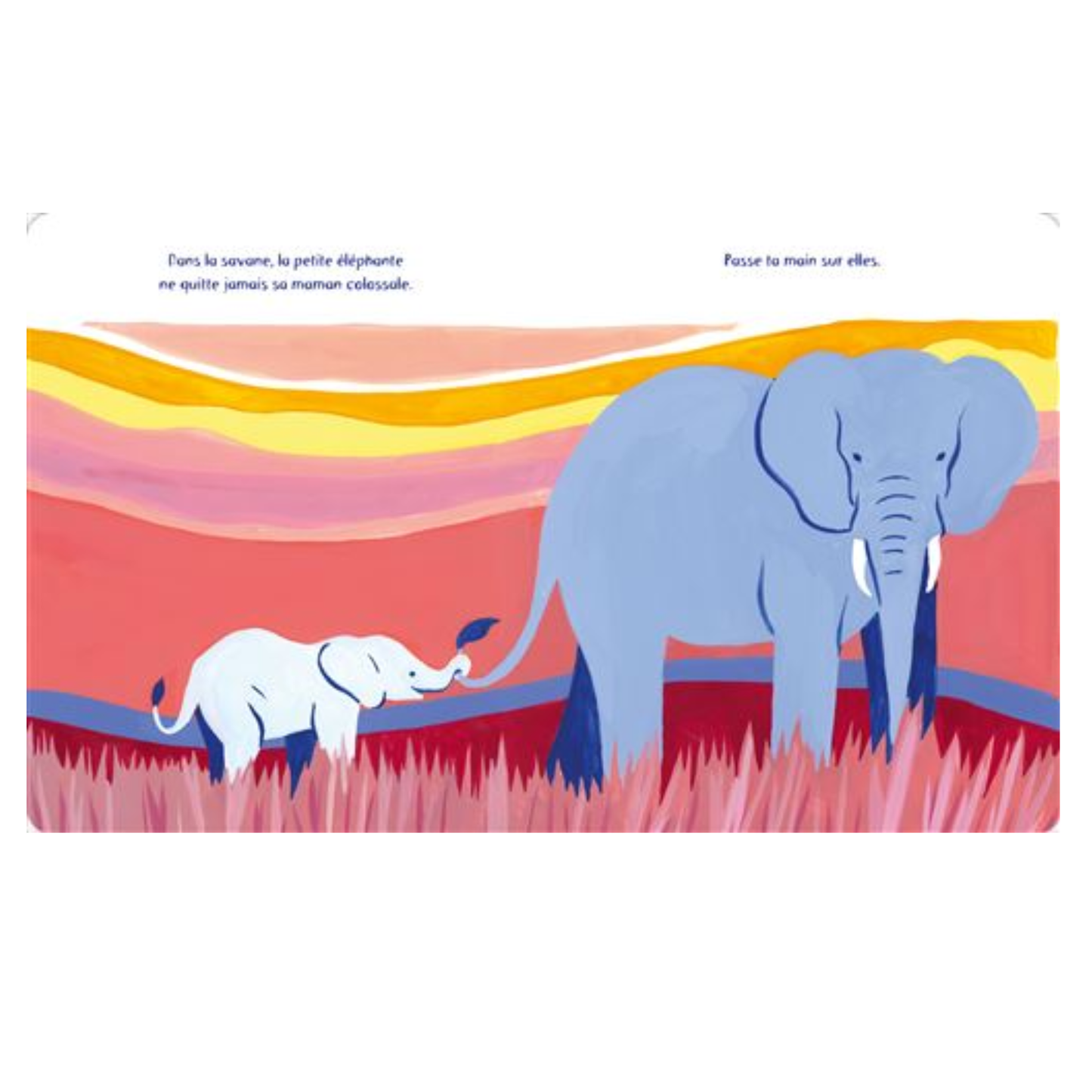 Les bébés animaux