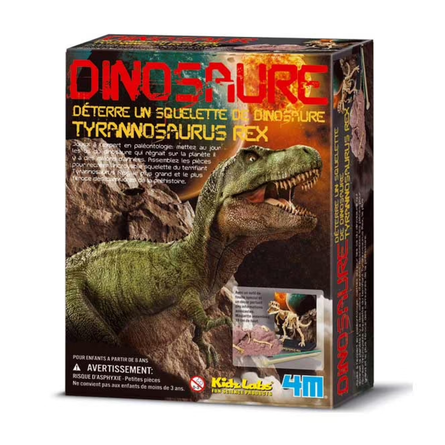 Dinosaure Tyrannosaure rex à déterrer
