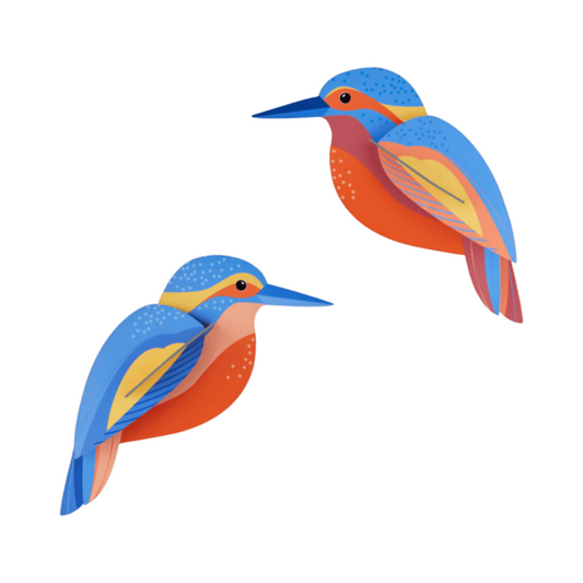 Maquette à construire - Oiseaux du jardin - Martins-pêcheurs  - Studio Roof