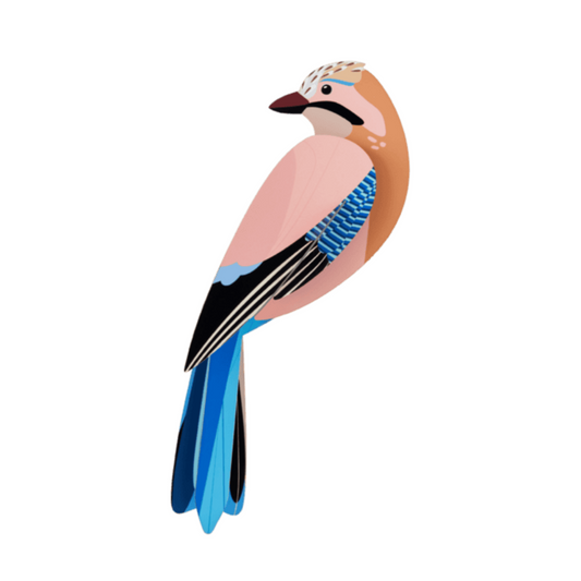 Maquette à construire - Oiseaux du jardin - Geai - Studio Roof