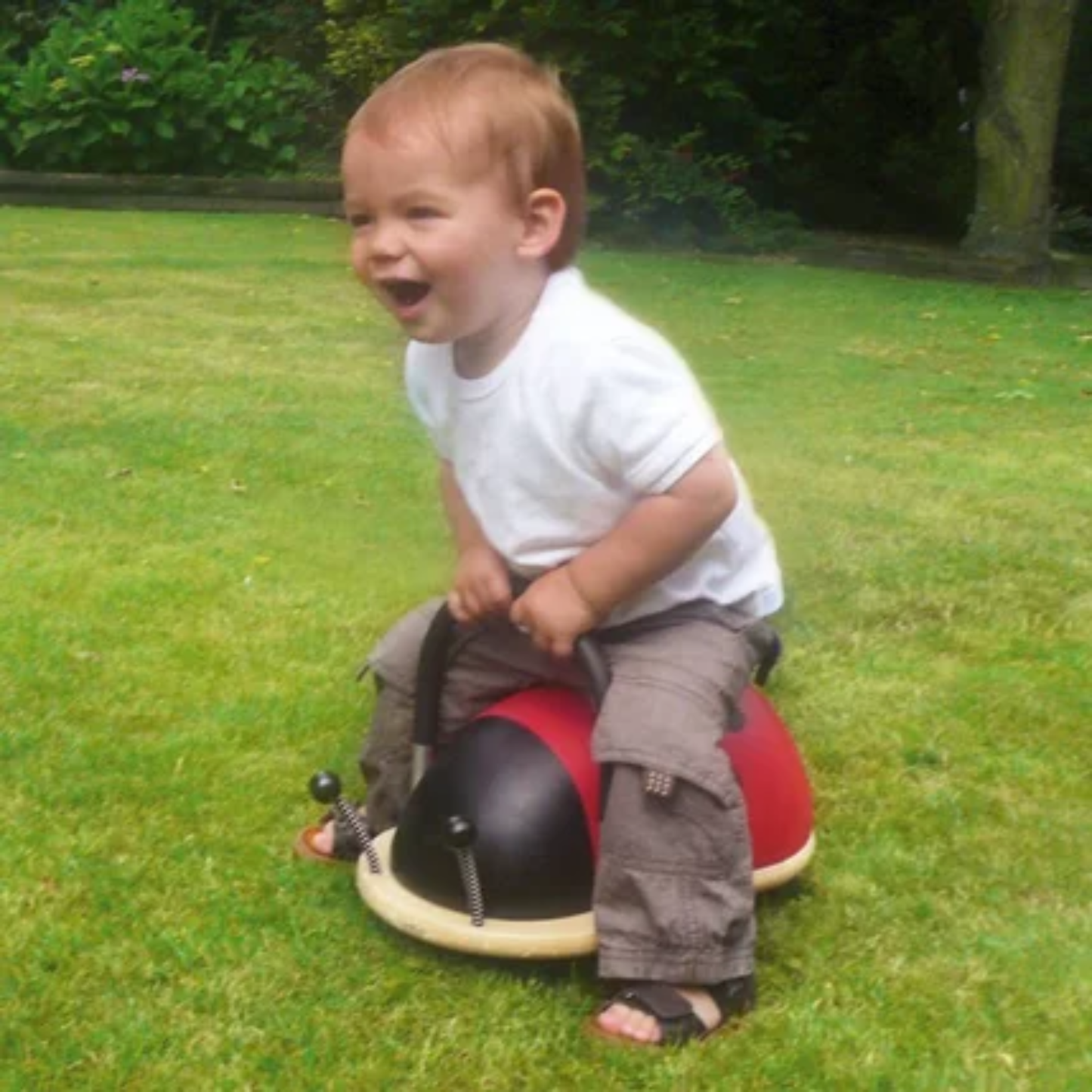 Wheely Bug - Porteur Coccinelle - Taille Small