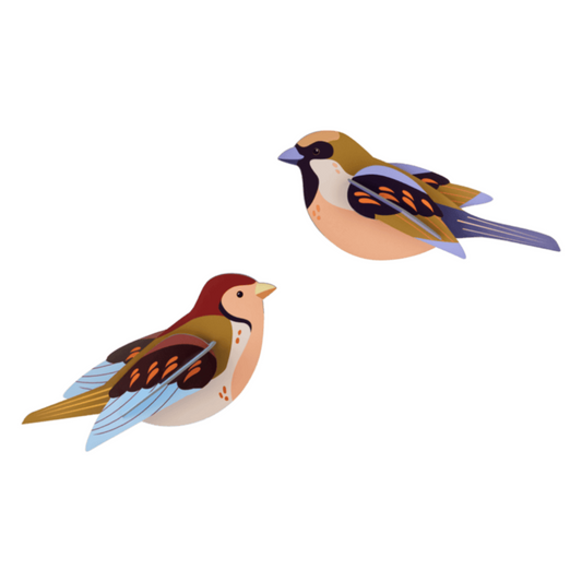 Maquette à construire - Oiseaux du jardin - Moineaux - Studio Roof