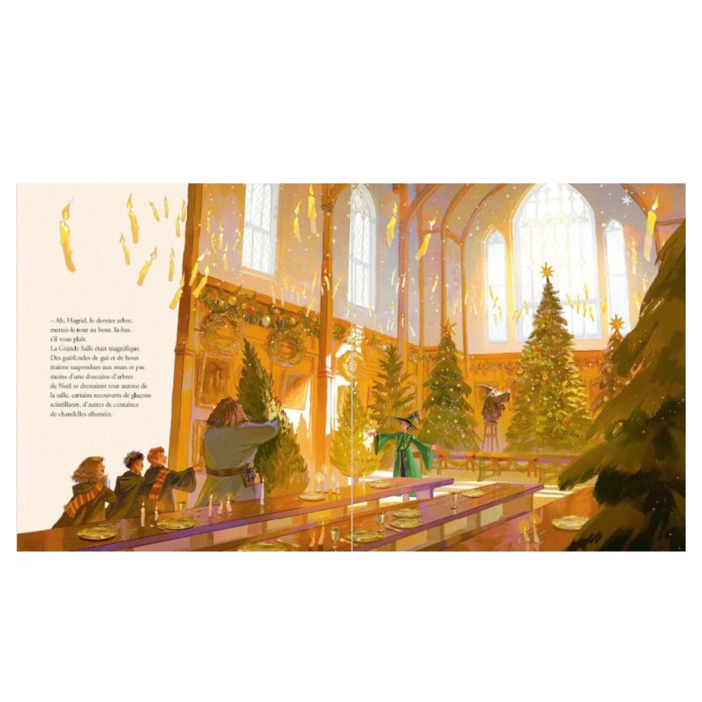 Harry Potter - Noël à Poudlard