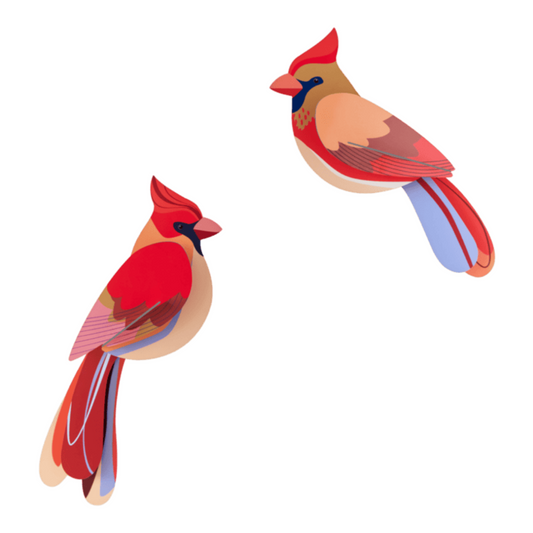 Maquette à construire - Oiseaux du jardin - Cardinaux - Studio Roof
