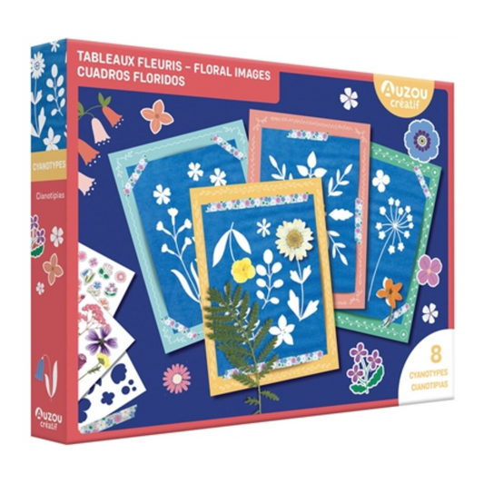Tableaux fleuris : 8 cyanotypes - Coffret DIY - Auzou