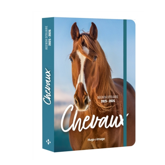 Chevaux : agenda 2025-2026