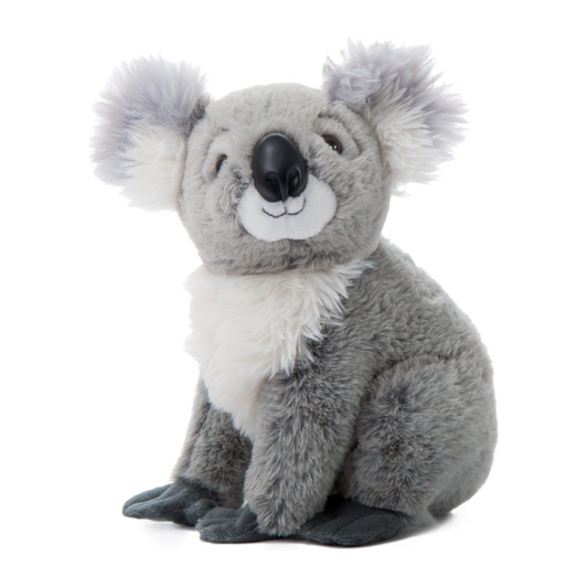 Peluche - Koala