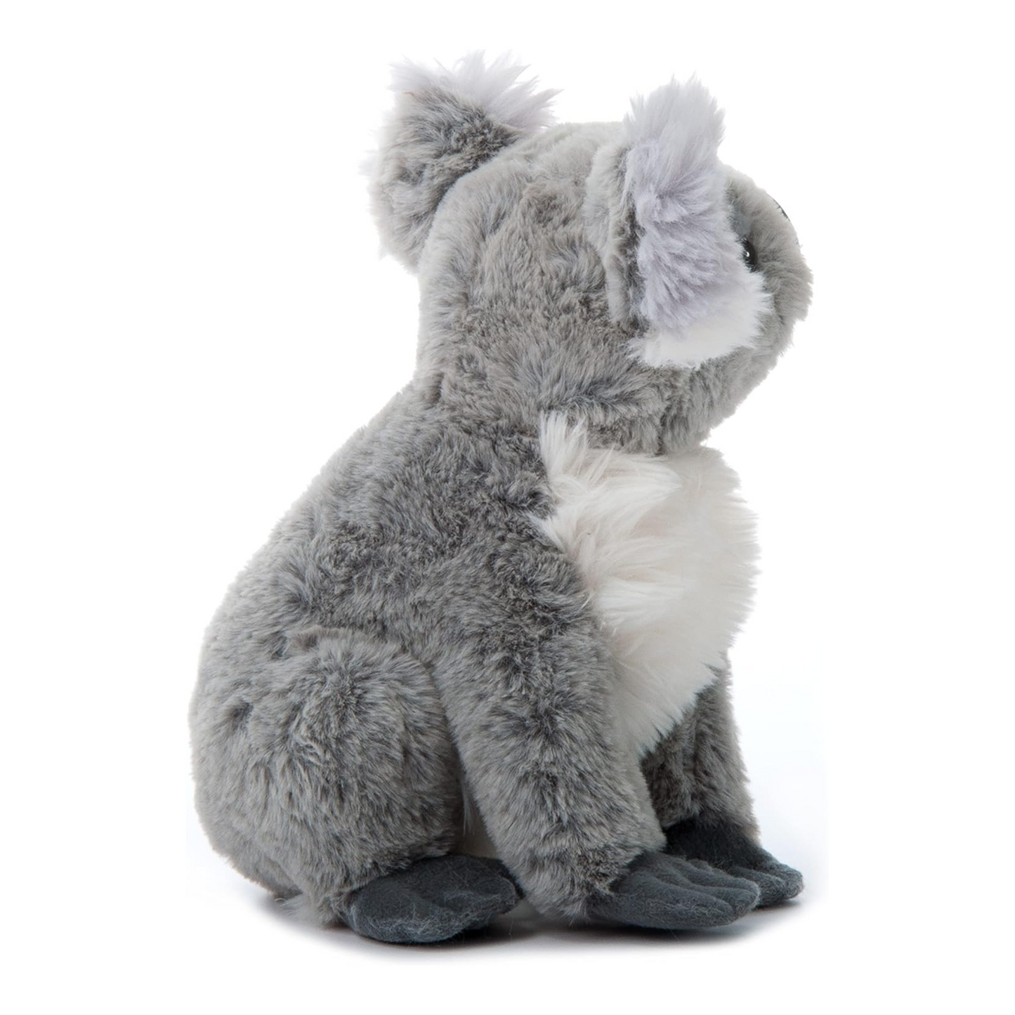 Peluche - Koala