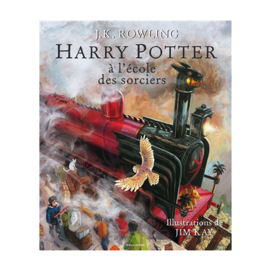 Harry Potter - Vol. 1 - Harry Potter à l'école des sorciers - Livre illustré