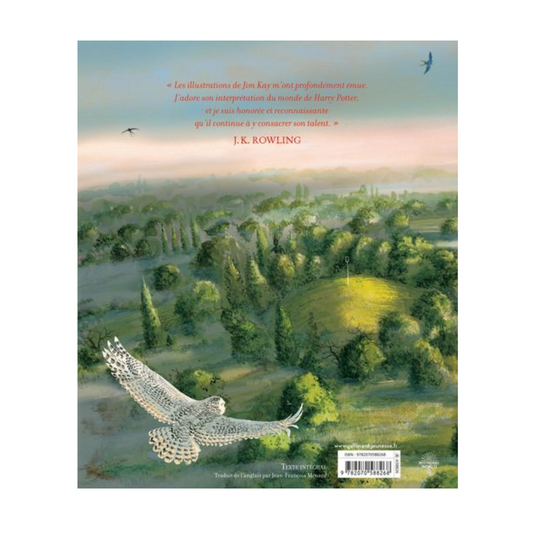 Harry Potter - Vol. 2 - Harry Potter et la chambre des secrets - Livre illustré