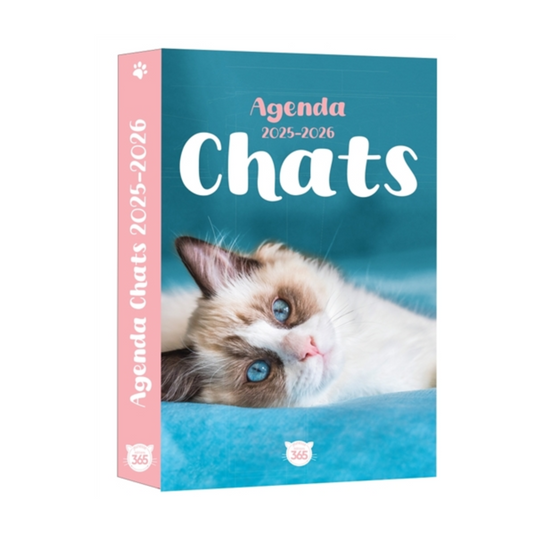 Chats : agenda 2025-2026