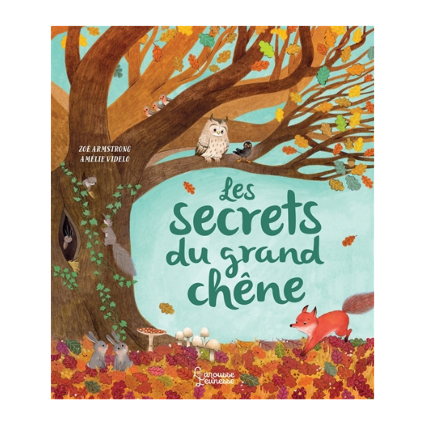Les secrets du grand chêne