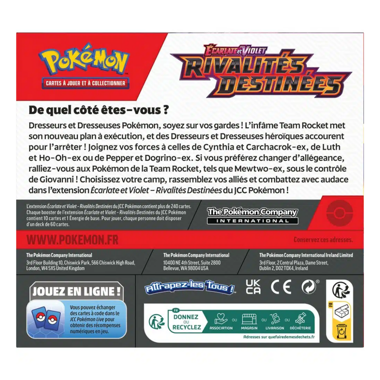 Pokémon - Rivalités Destinées : Display complet