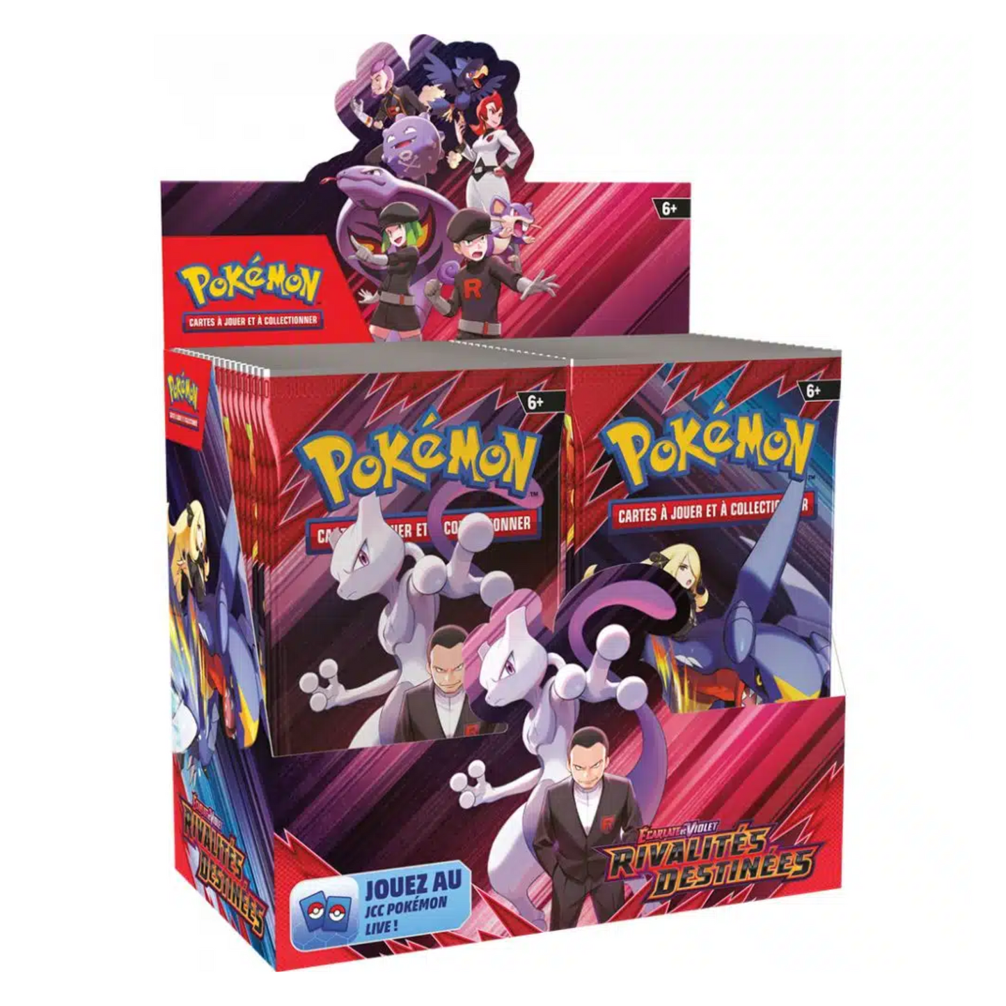 Pokémon - Rivalités Destinées : Display complet