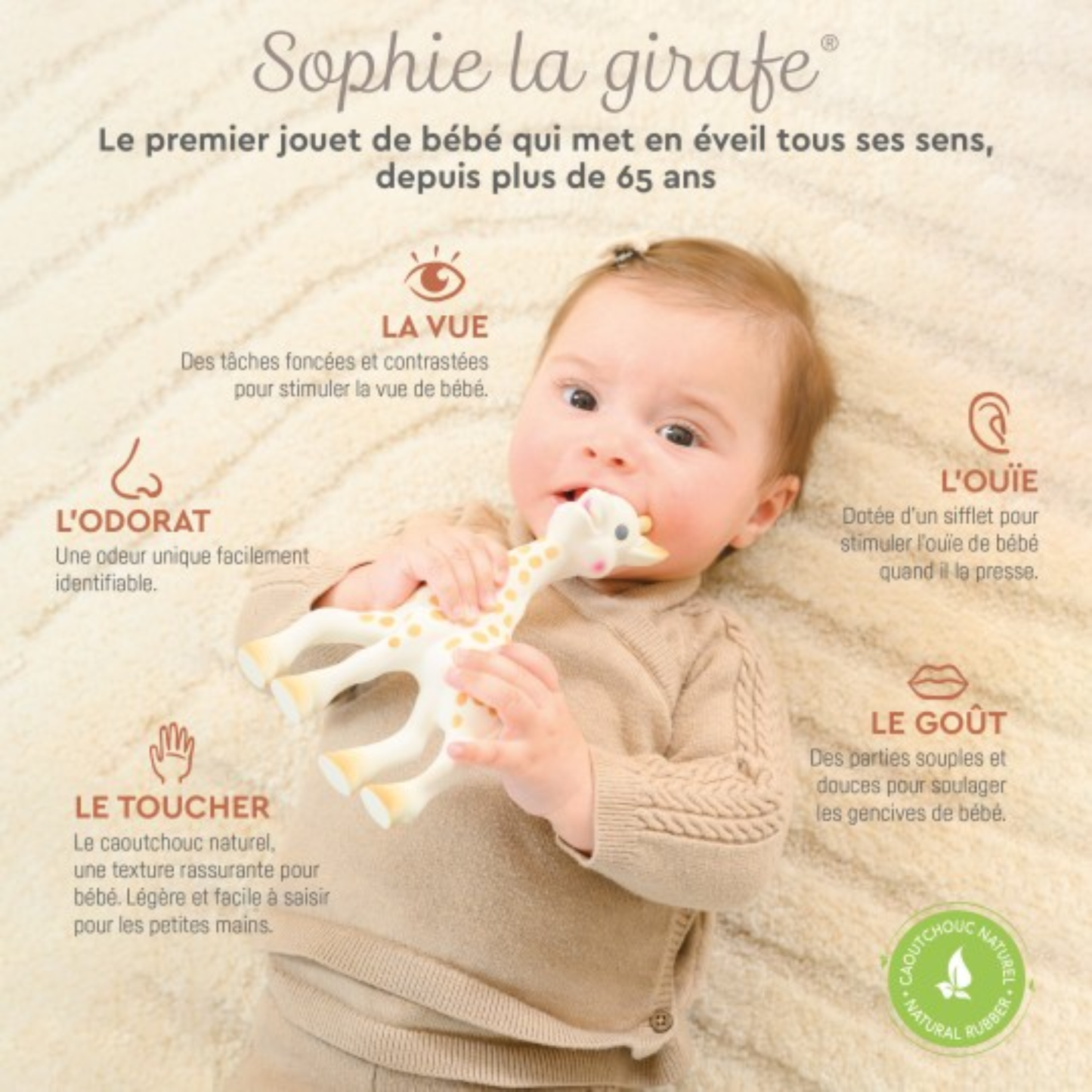 Sophie la girafe So’ Pure - Coffret naissance