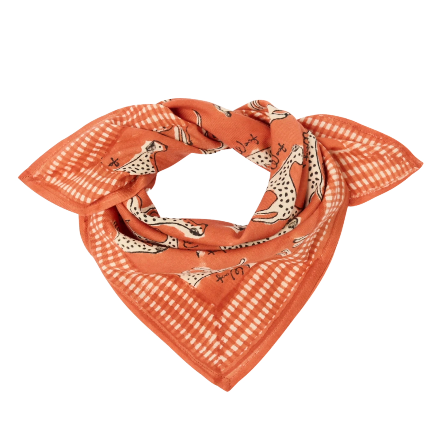 Petit Foulard Manika Pongo Colorado - Apaches