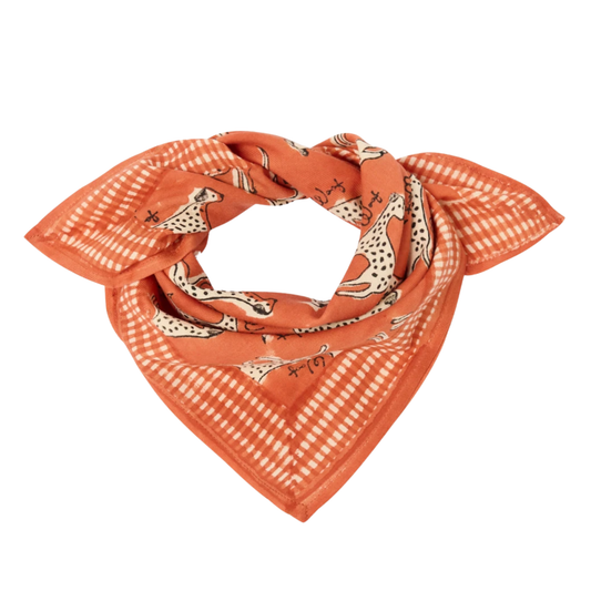 Petit Foulard Manika Pongo Colorado - Apaches